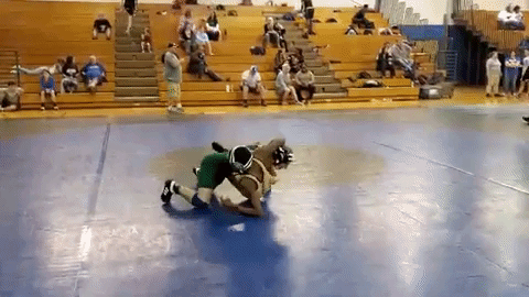 Men Wrestling Women: 2019