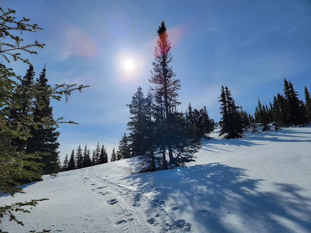Sentier dans les monts Groulx pour le mont Jauffret