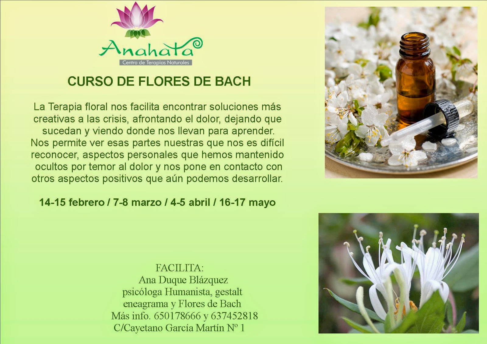 Anahata Centro Holistico CuerpoMente CURSO FLORES DE BACH Anahata Centro Holistico CuerpoMente CURSO FLORES DE BACH