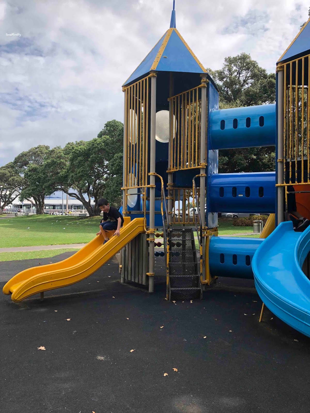 Hawaii Mom Blog Visit Auckland Windsor Reserve