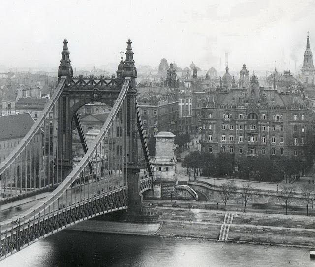 Stunning Image of Elisabeth Bridge, Budapest in 1915 