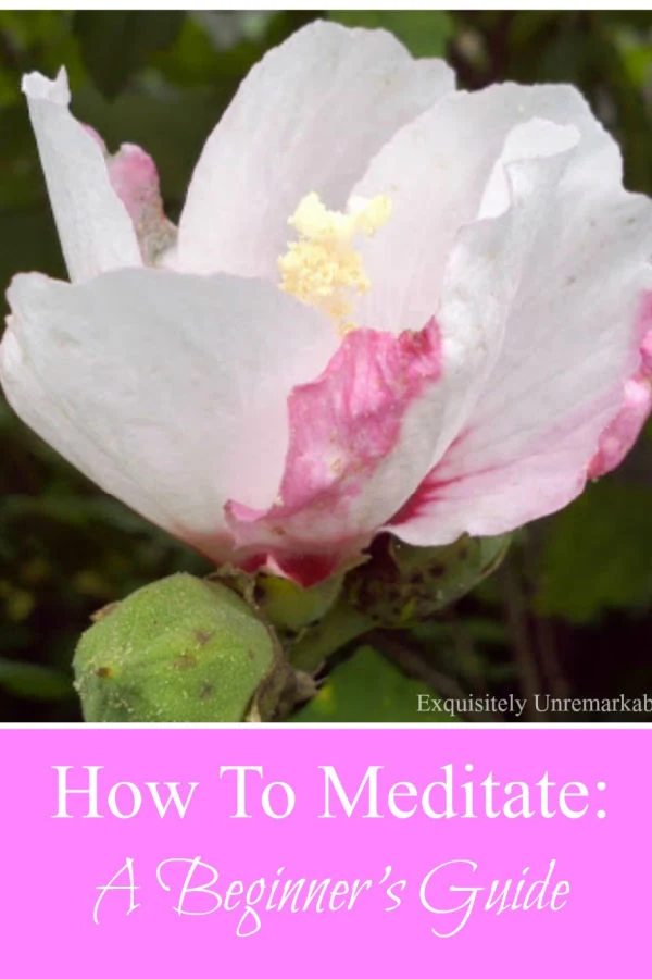 How To Meditate A Beginner's Guide