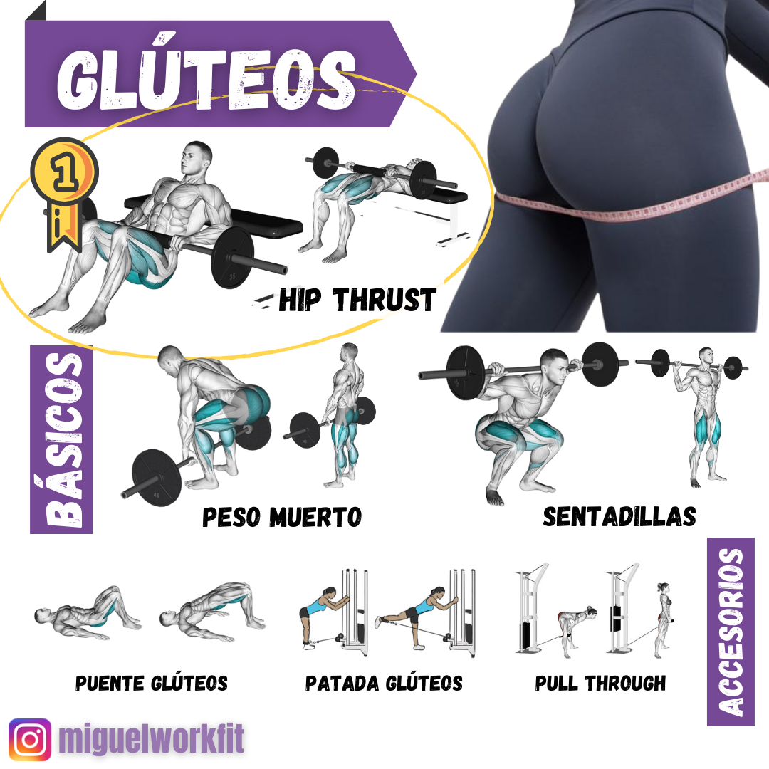 Cabaña Año nuevo Anotar Los mejores ejercicios para desarrollar los glúteos - MIGUELWORKFIT