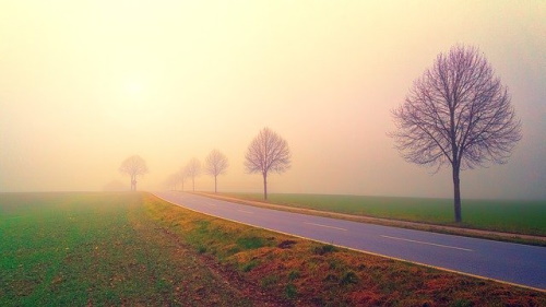 Se você conhece o autor desta imagem, por favor nos informe para que possamos atribuir-lhe os devidos créditos. Obrigado. Amanhecer, paisagem com estrada e árvores. #PraCegoVer