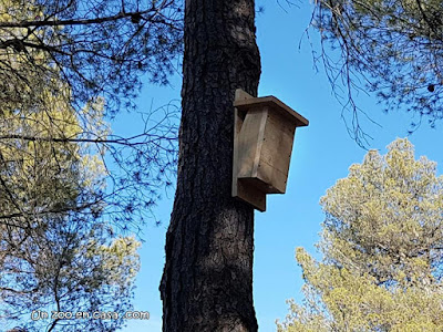 Caja nido para agaetador