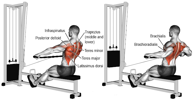 Wide-Grip Seated Cable Row
