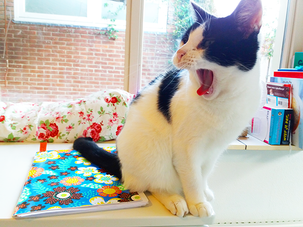 A cat yawning, witting on a colorful notebook.