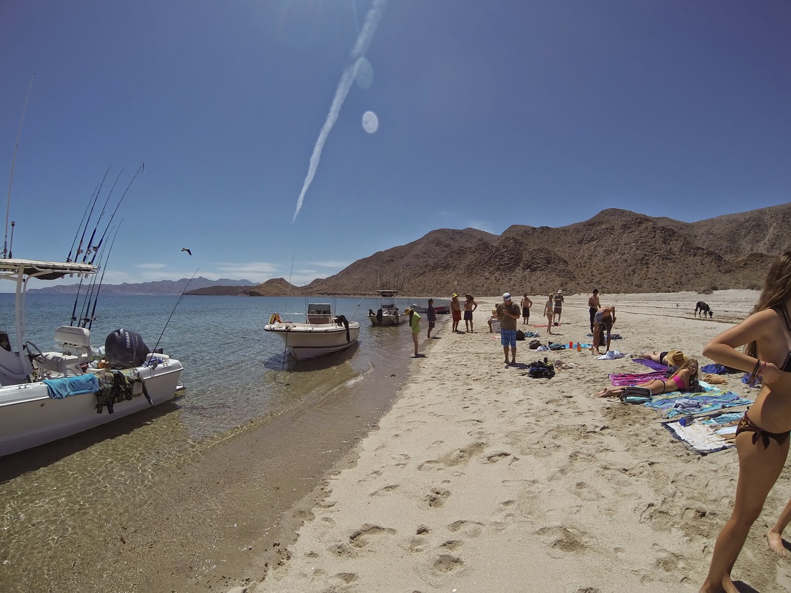 Exploring and Informing Bahia de Las Animas, Baja