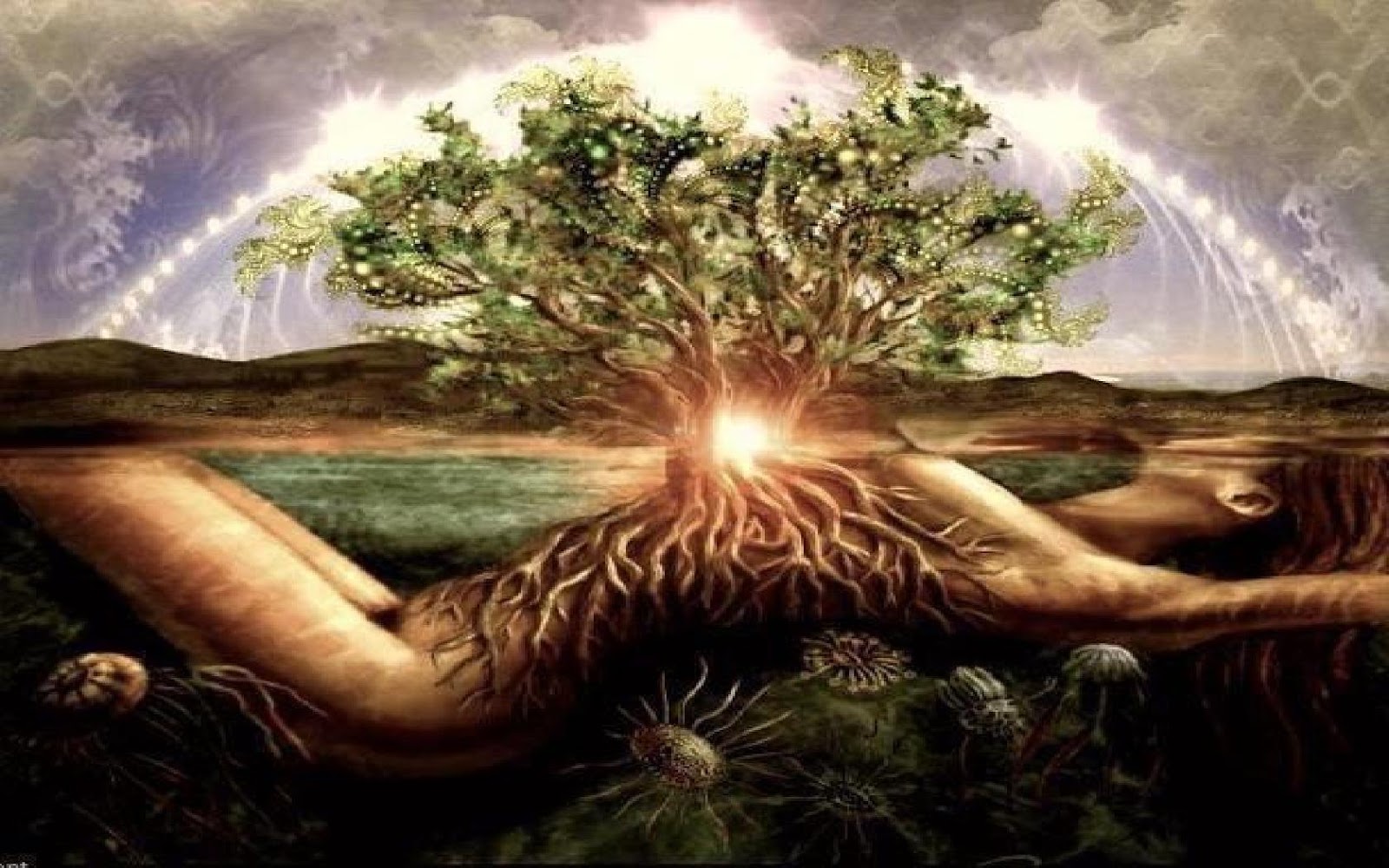 Кармический рак. Древо жизни Навь явь и. Древо явь Навь Правь. Эзотерика дерево жизни. Дерево рода.