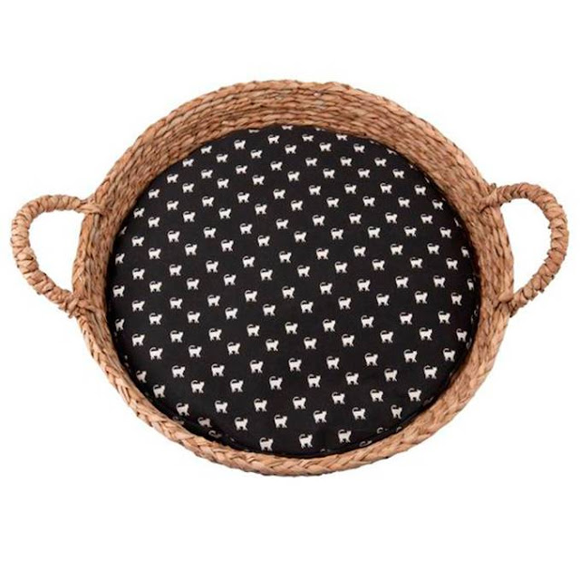 NOSSOS FIÉIS COMPANHEIROS