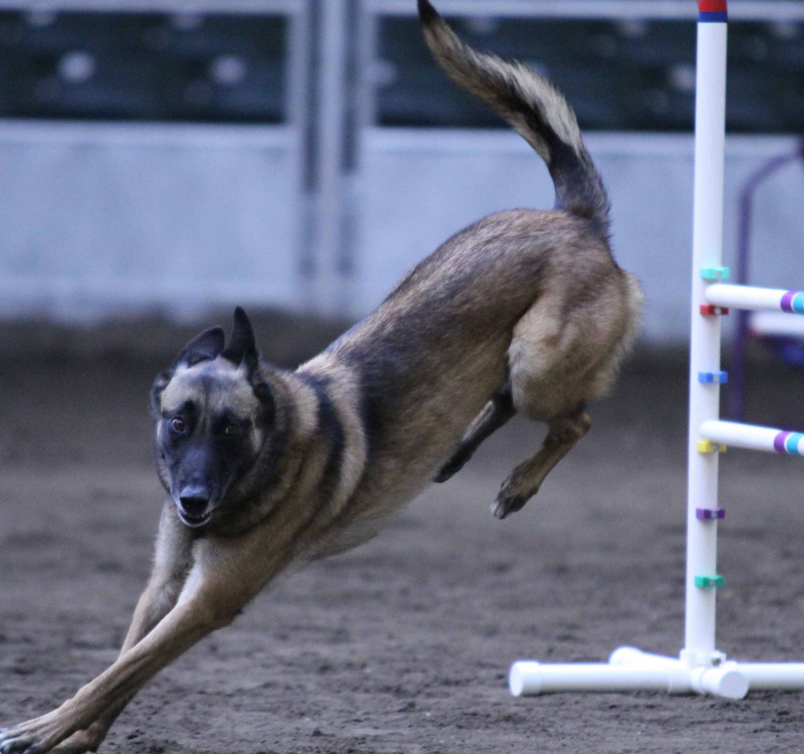 Exercise Finished September 2012