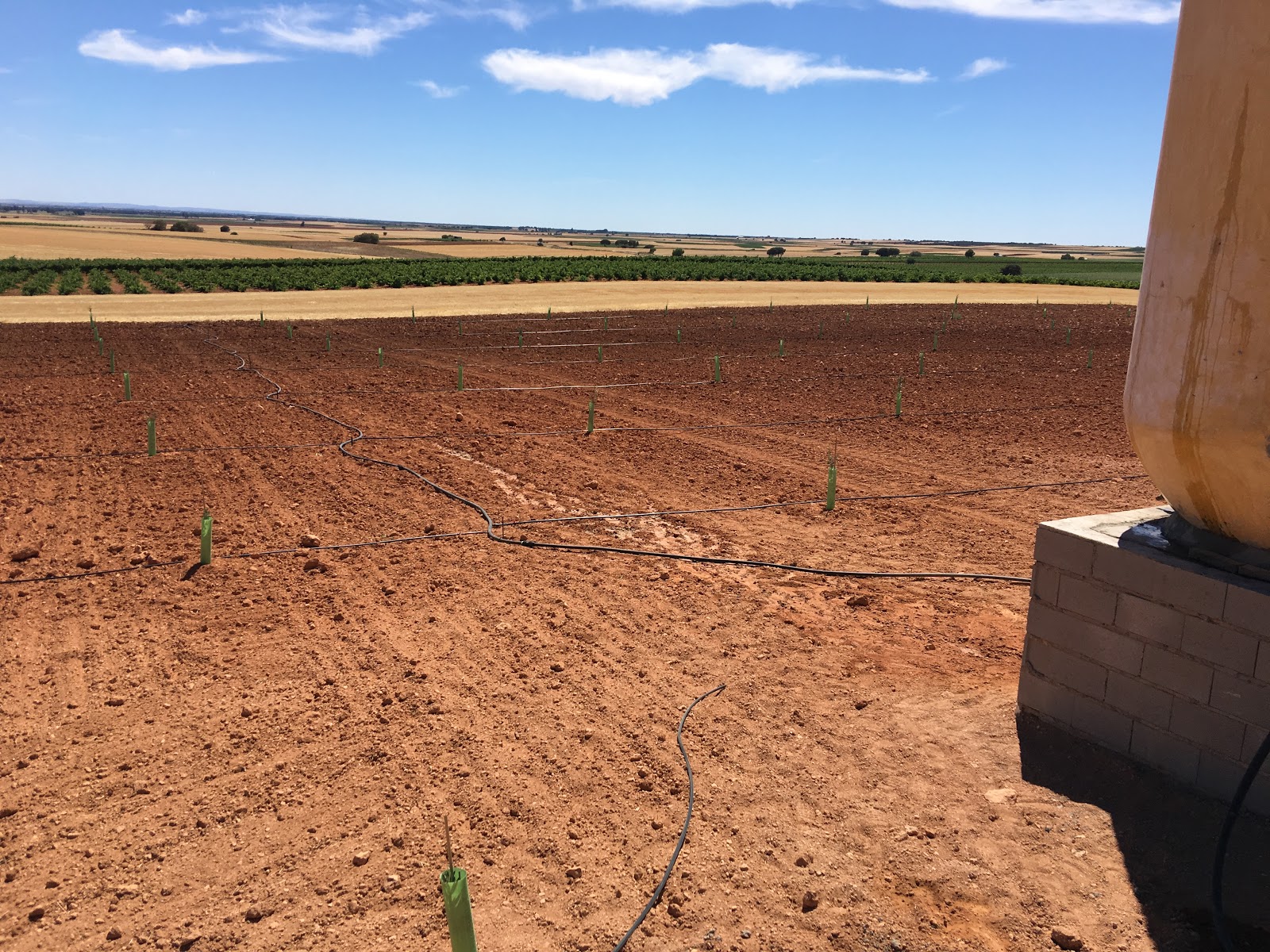 An original irrigation system for olive trees Earthenware jar