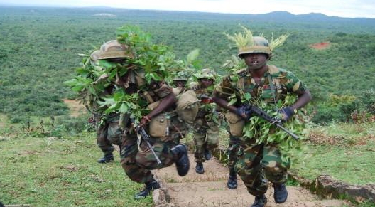 first anniversary capture sambisa forest bokoharam first anniversary capture sambisa forest bokoharam
