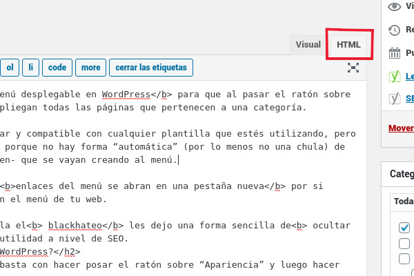 Activar el editor HTML en WordPress