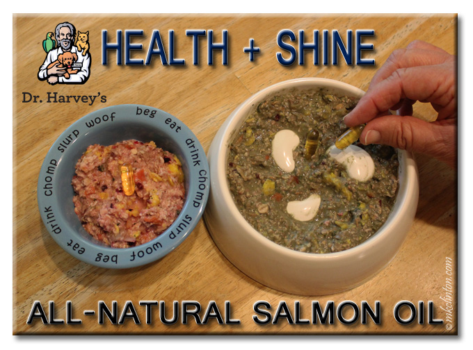 Two bowl of Dr. Harvey's Canine Health do food with Health + Shine capsule