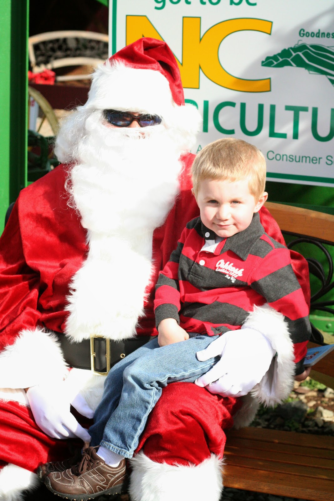 The Fleming Family Christmas Recap Papa Goat's Tree Farm