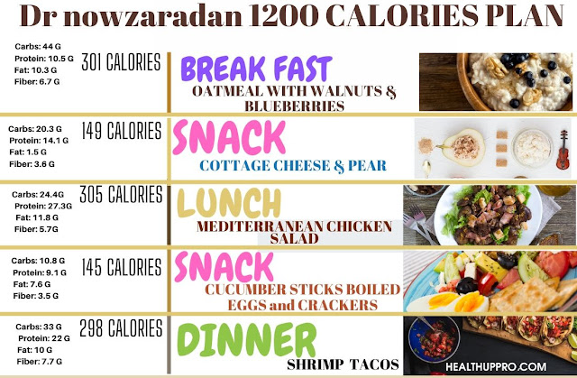 Printable Dr Nowzaradan Diet Plan 1200 Calories Pdf - Printable Templates