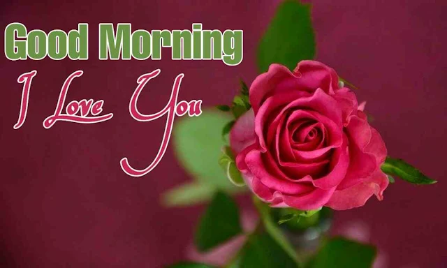 i love you good morning images