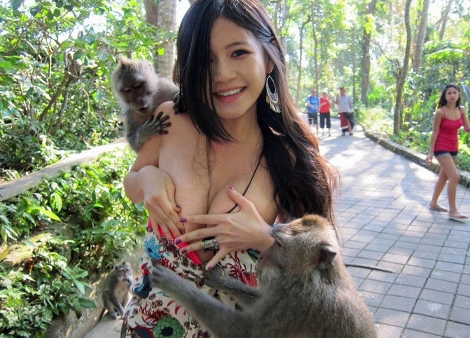 Bloody brazil teen zoo. Девушка и обезьяна. Самки девушки. Озабоченные животные. Женщина с обезьянкой.
