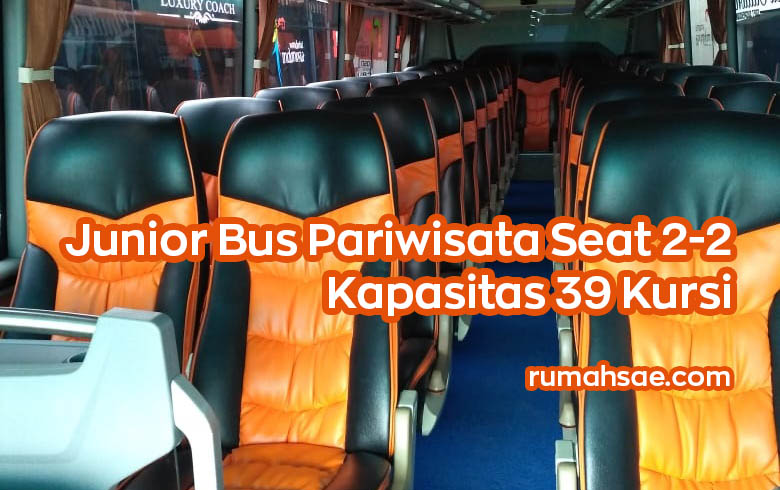 Denah Tempat Duduk Bus Pariwisata Jenis Junior Seat 2-2 Kapasitas 39 dan 41