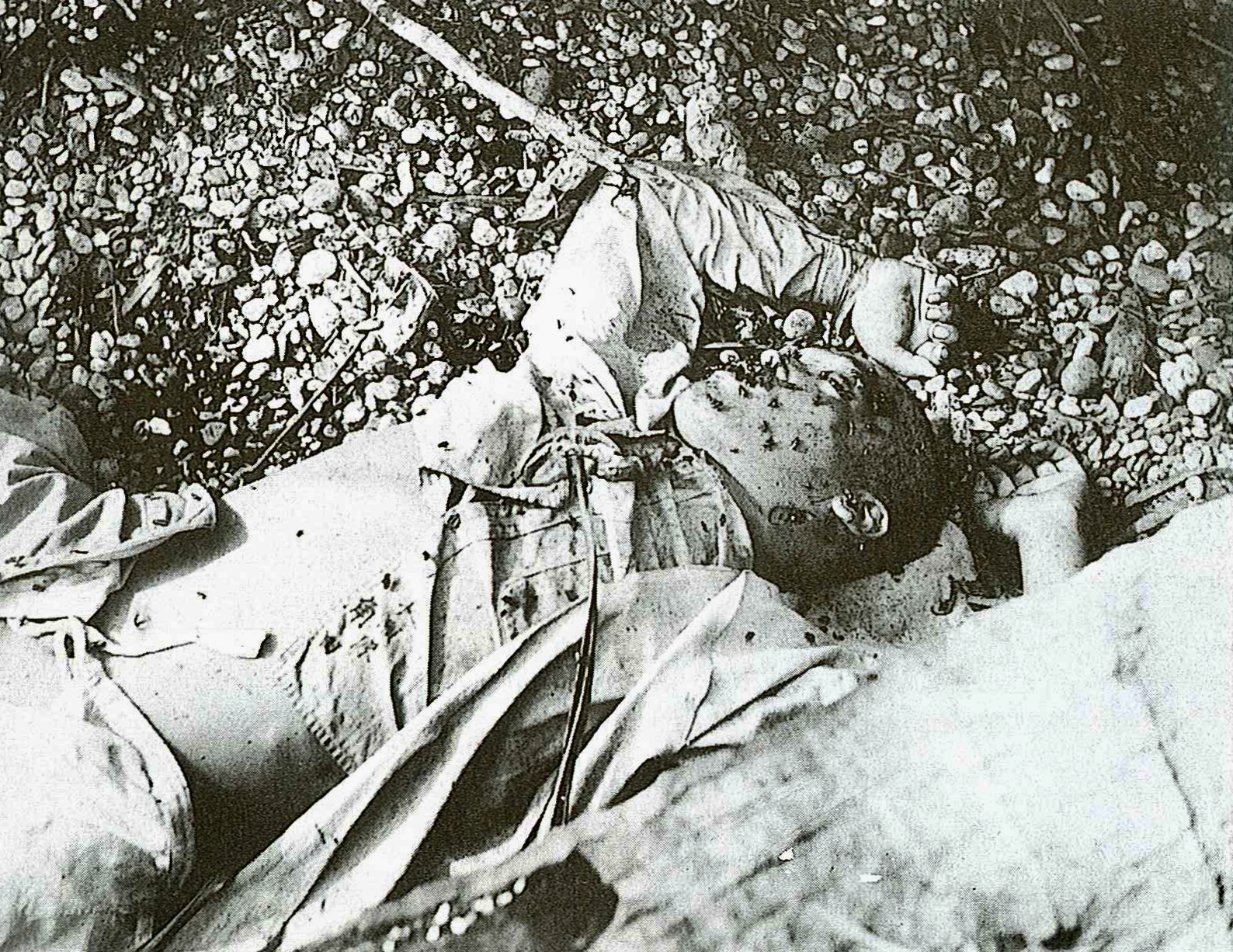 Japan No War Jnw 日本平和の市民連盟 太平洋戦争のガダルカナル島の戦いで 日本軍兵士が戦死や病死した死体に蝿が集り腐敗していた