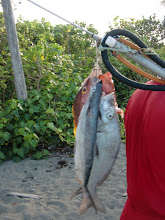 Baracoa fish on the beach