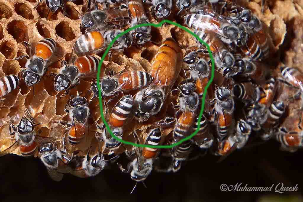 There is no Epic Loot here, Only Puns (Dungeon) Page 82 SpaceBattles