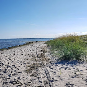 Urlaub in Dänemark: Verliebt in die nördliche Ostseeküste. In Norddänemark gibt es auch an der Ostsee breite Strände und tolle Dünen.