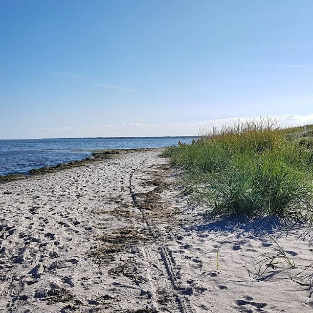 Urlaub in Dänemark: Verliebt in die nördliche Ostseeküste. In Norddänemark gibt es auch an der Ostsee breite Strände und tolle Dünen.