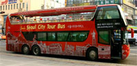 Visit Seoul's Traditional Markets on Bus