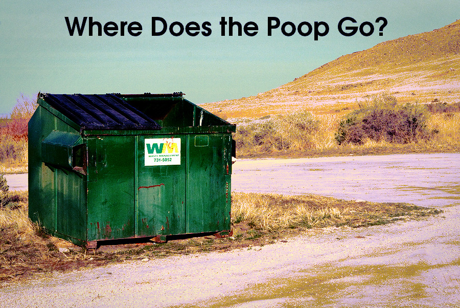 Blinded by the Light It is Legal to Toss Poop in the Trash?