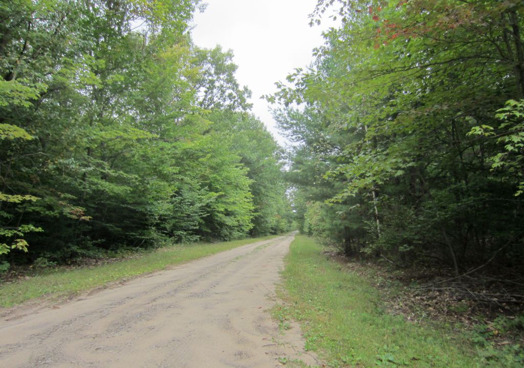 Windswept Adventure Exploring Vice Road, Brasher Falls New York