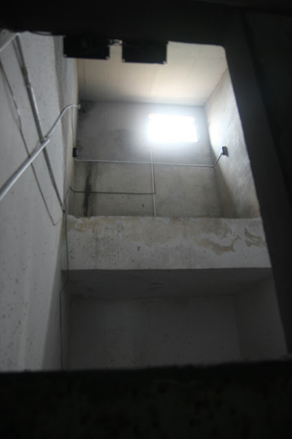 NUMIT Bird Nest 浓密燕窝 : BIRD's NEST ORIGINATED FROM TAIPING, MALAYSIA