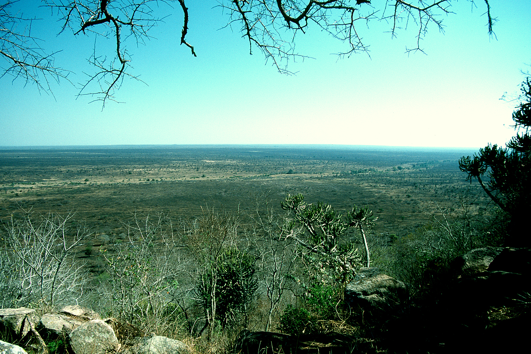 Official Blog South African National Parks updates