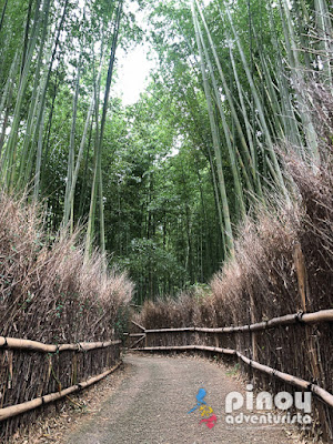 Kyoto Tourist Spots Arashiyama Bamboo Grove