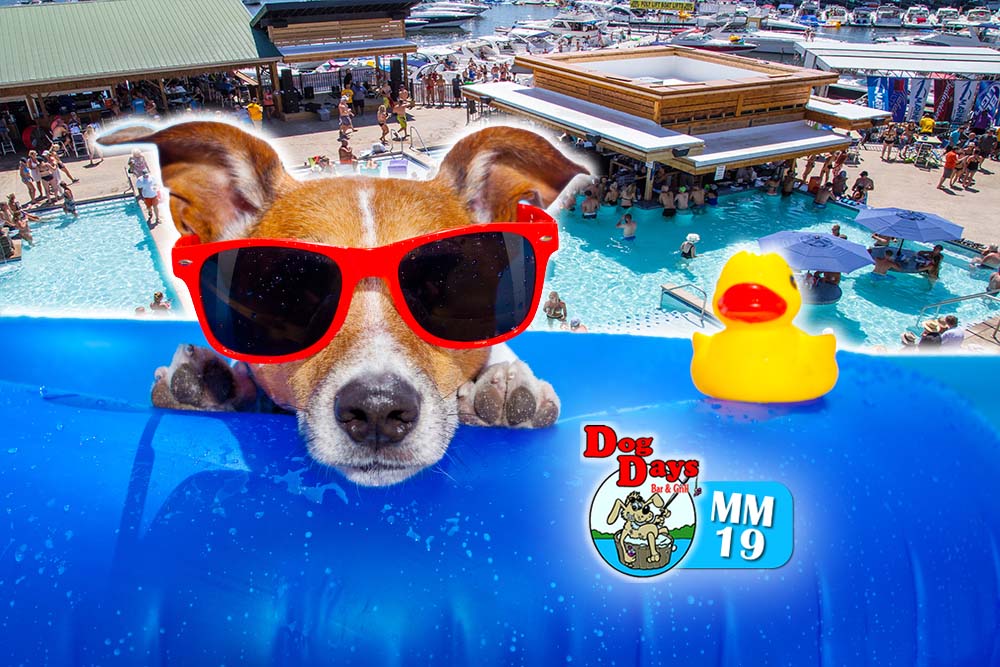 Download Dog Days Bar Grill Lake Of The Ozarks The Best Place To Desktop Wallpaper Get Wallpaper Dog Days Bar Grill Lake Of The Ozarks The Best Place To Desktop Wallpaper Free