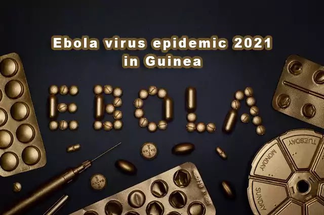 New Ebola virus epidemic 2021 in Guinea: All you need to know