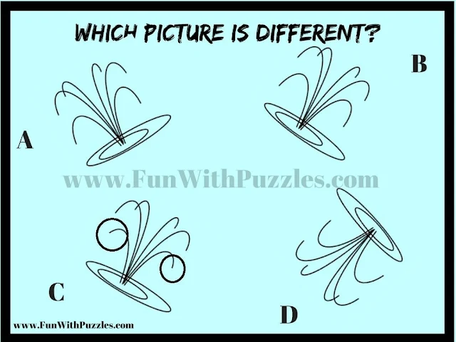 Observational Skills Test: Brain Teaser Picture Puzzle Answer