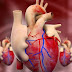 Apa Ciri-Ciri Dan Tanda-Tanda Yang Menciptakan Menjadi Penyakit Jantung