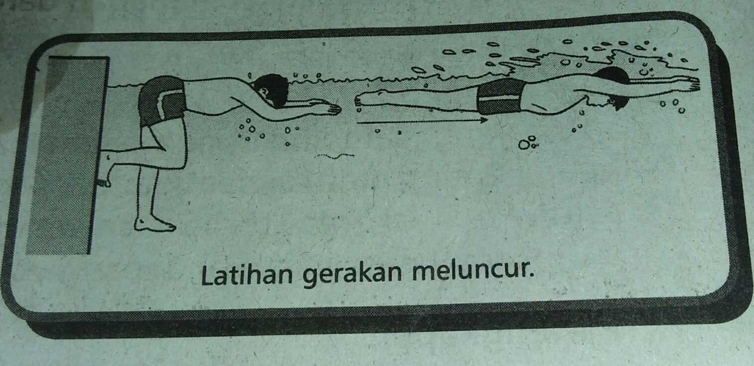 Teknik Dasar Renang Gaya Dada Penjaskes