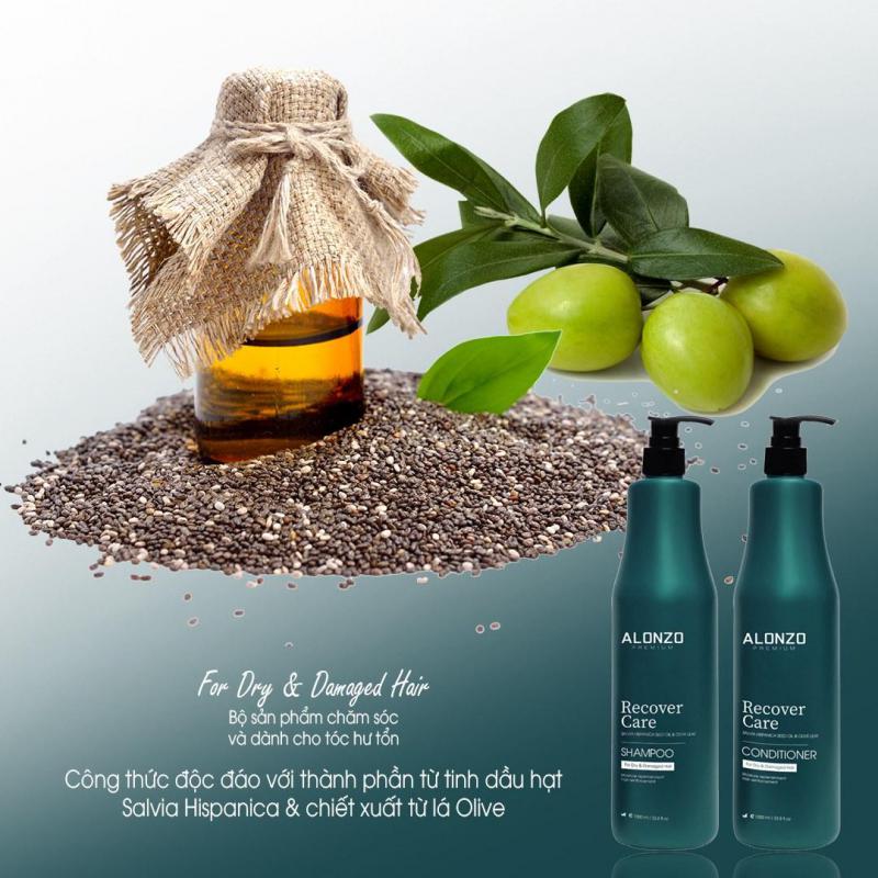 Dầu Gội Recover Phục Hồi Tóc Khô Và Hư Tổn 300ml- ISALON