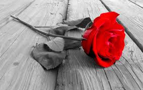 just for you just for you