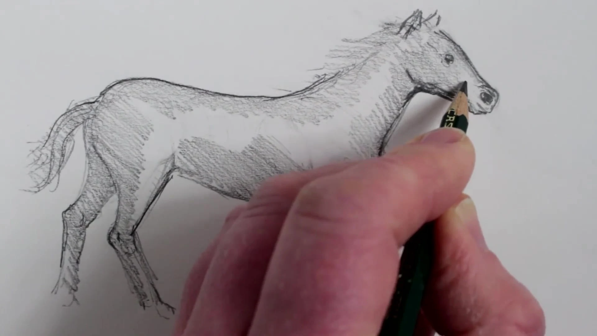 رسم حصان بالرصاص
