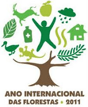 ANO INTERNACIONAL DA FLORESTA