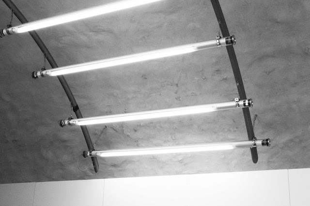 Https Gdcf Mainz Wiesbaden Jimdo Com App Download 11299243572 Seite11 Rathauszeitung 23 Kw Raz 2018 Pdf T 1530626042