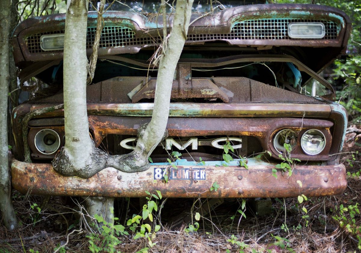 22 Amazing Photographs of Trees Growing Through Classic Cars Vintage