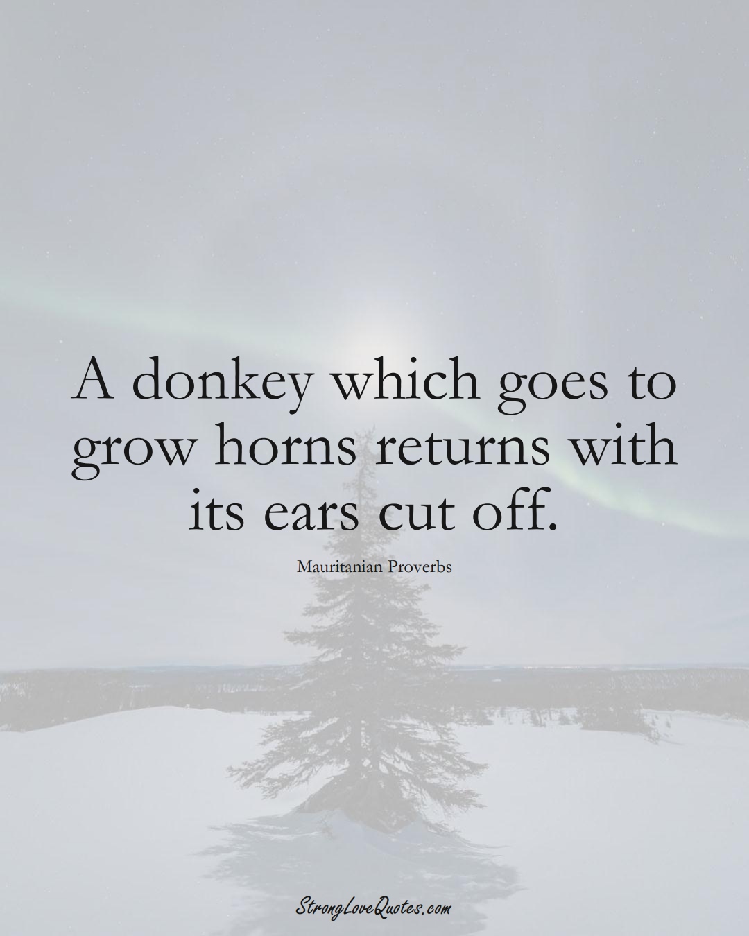 A donkey which goes to grow horns returns with its ears cut off. (Mauritanian Sayings);  #AfricanSayings