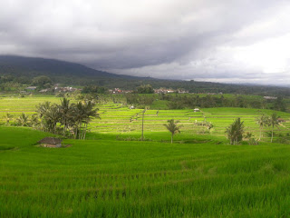 Jatiluwih Bali Jatiluwih Bali