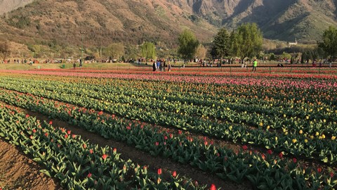 18 Best Places To Travel In Srinagar, India 18 Best Places To Travel In Srinagar, India