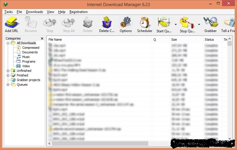 idman623build12 crack